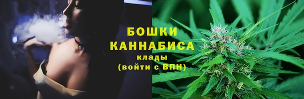 молекула духа Карпинск