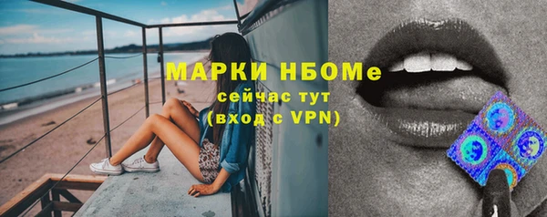 молекула духа Карпинск