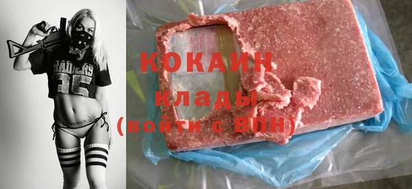 молекула духа Карпинск