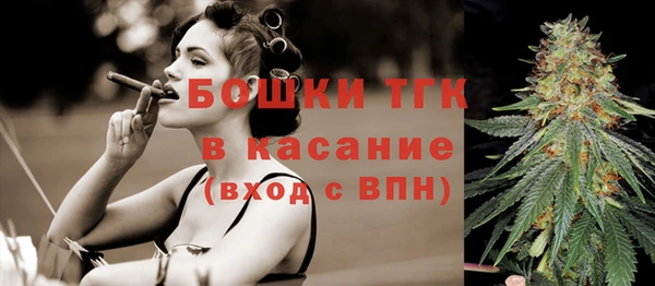 тгк Касимов